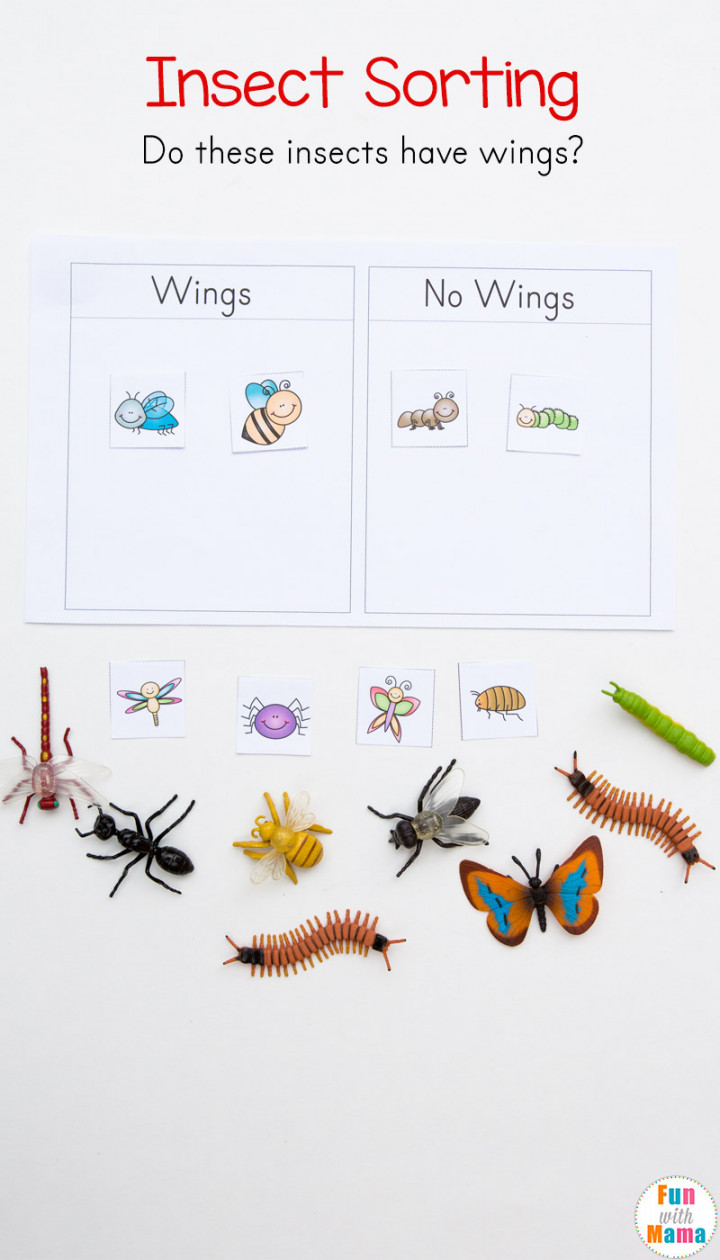 Preschool Insect Theme Sorting Worksheet + Bug Activities - Fun