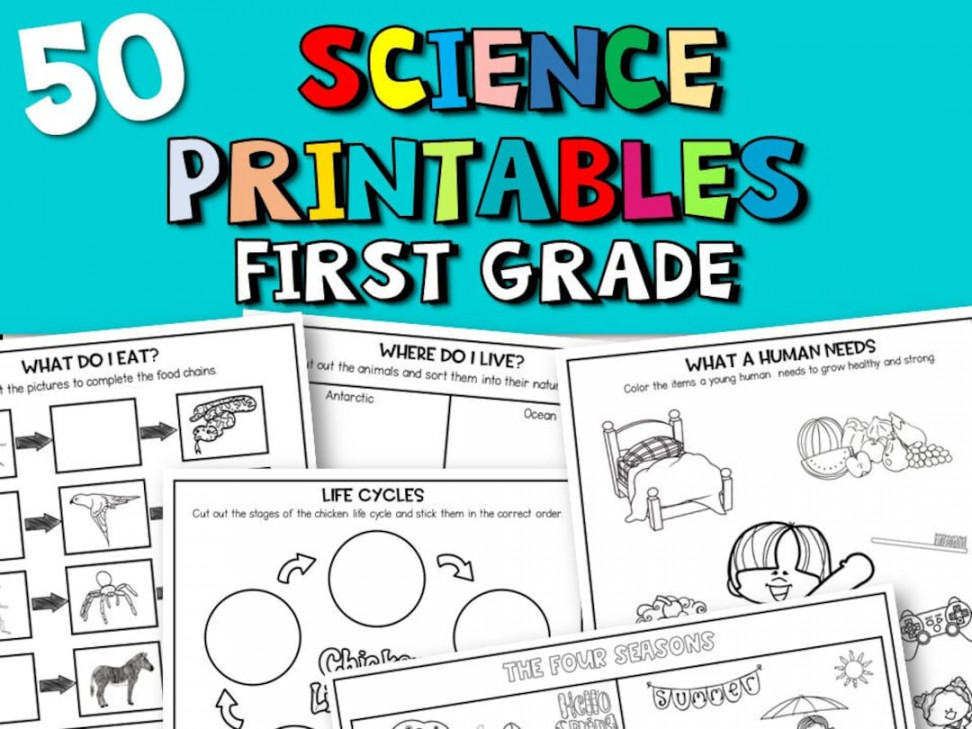 Science Printable Worksheets for First Grade - Etsy