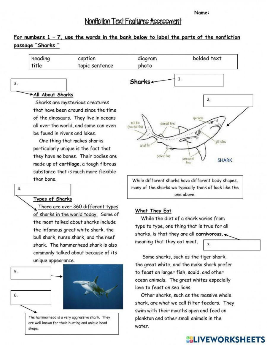 Sharks -Nonfiction Text Features worksheet  Live Worksheets