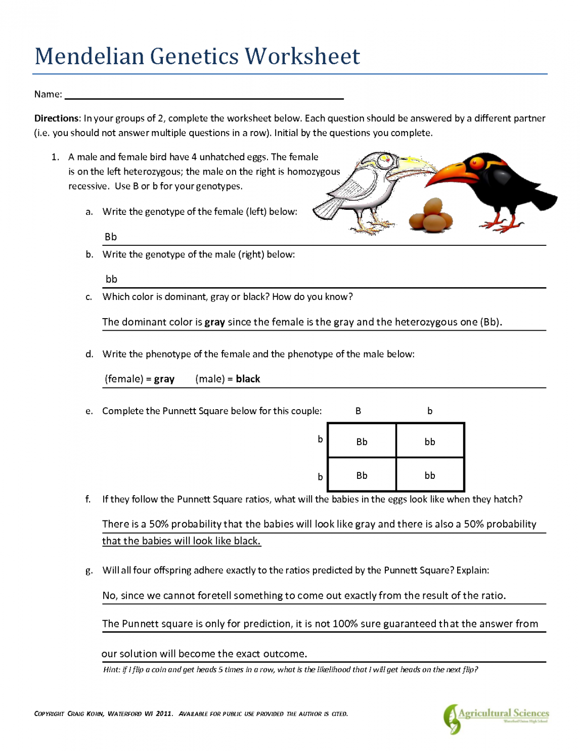 SOLUTION: Mendelian genetics worksheet - Studypool