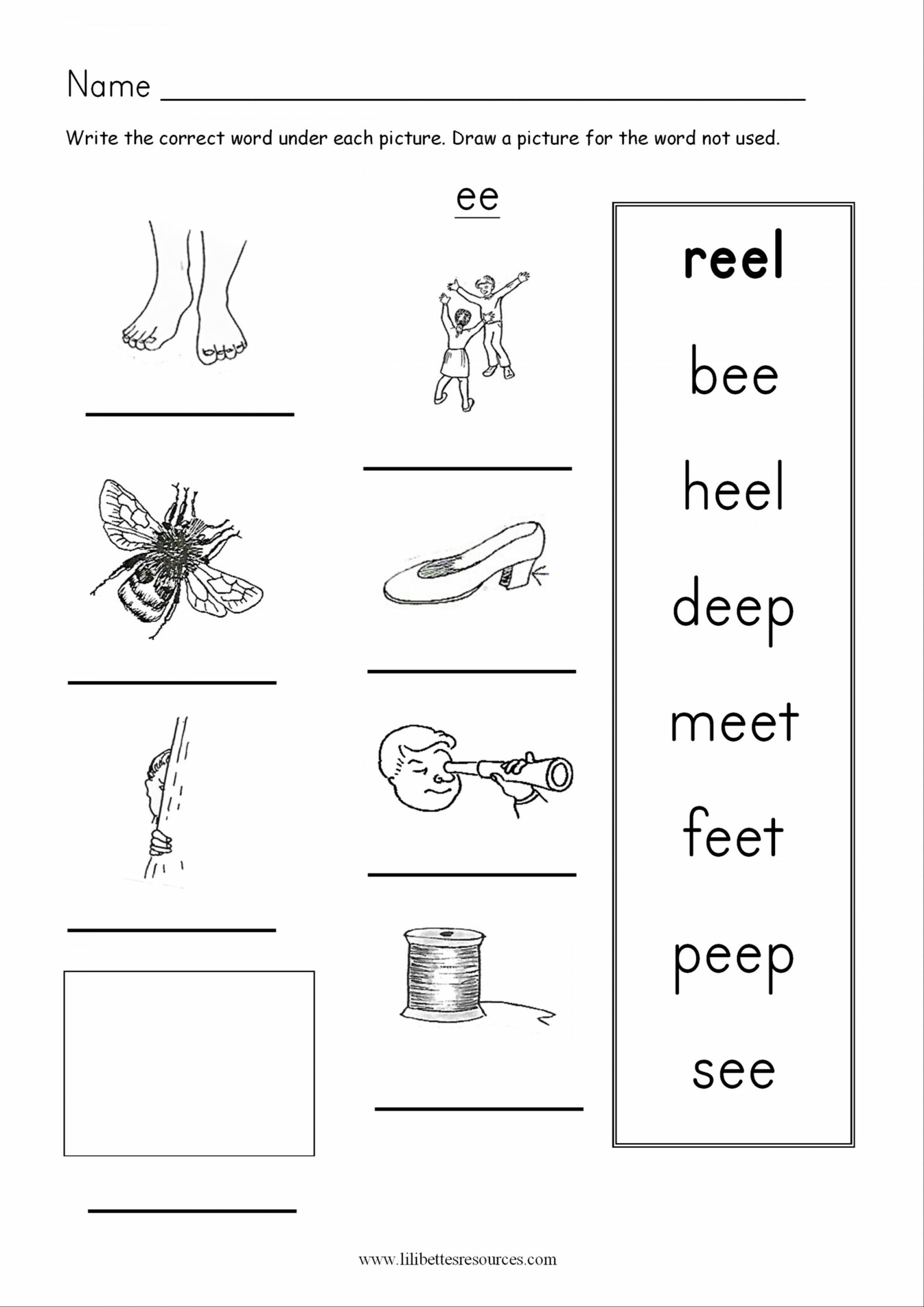 ee phonics Worksheets - SOUND-IT-OUT PHONICS