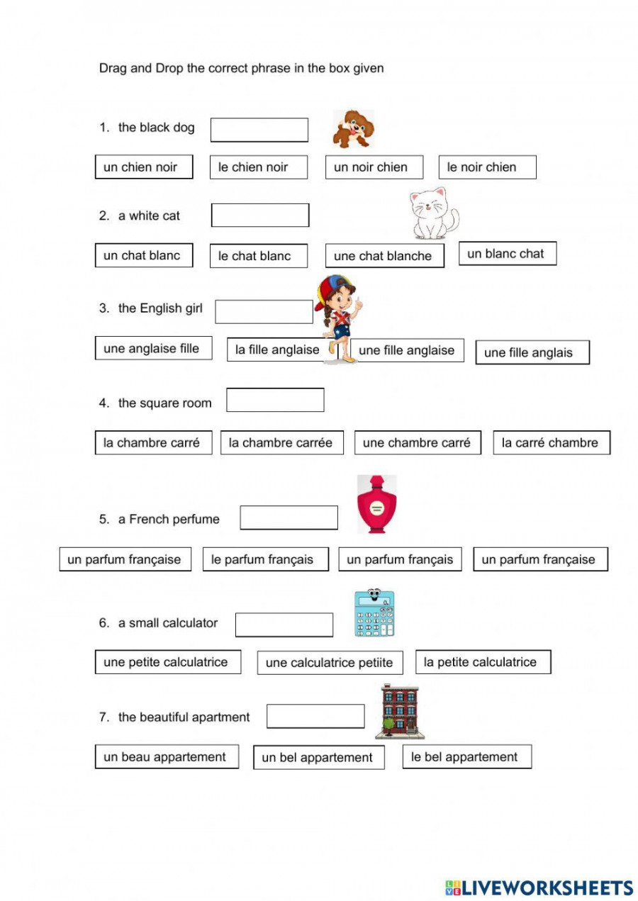 French Adjectives interactive worksheet  Live Worksheets