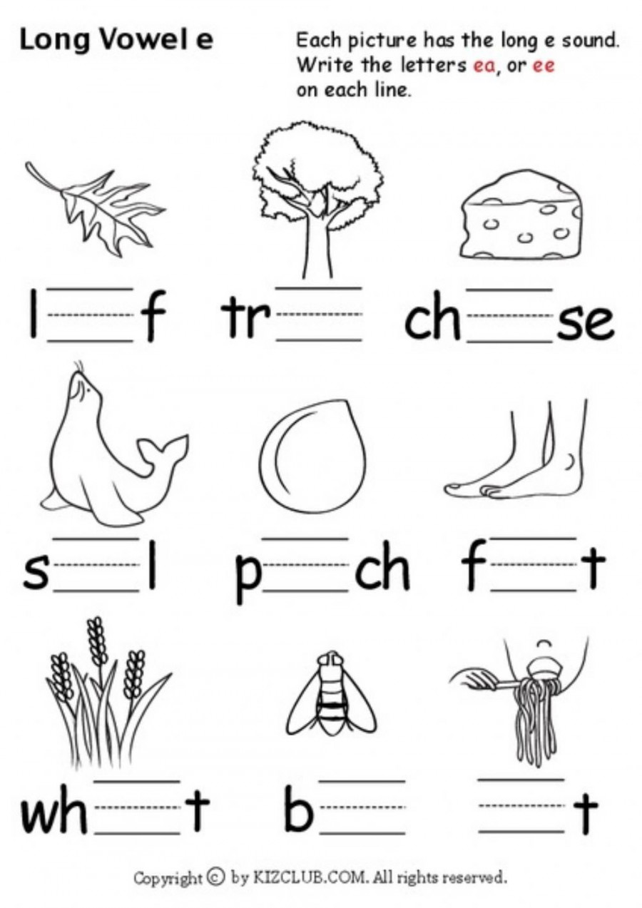 Long e vowel sound worksheet in   Vowel worksheets, Phonics