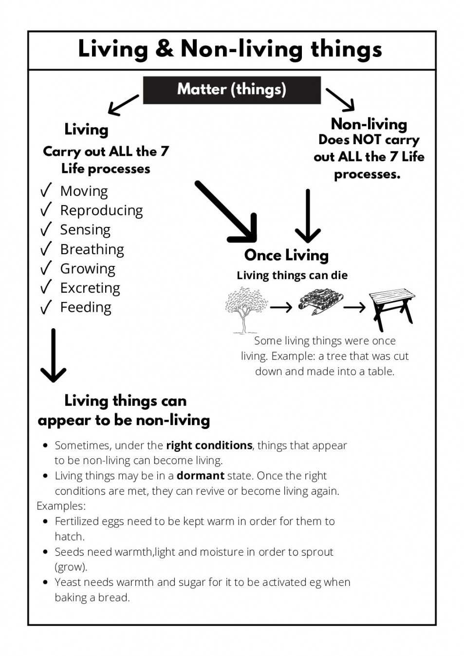 Natural Sciences & Technology – Grade : Worksheets • Teacha!