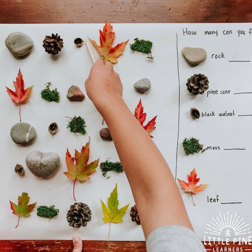 Nature Find and Count Math Activity • Little Pine Learners