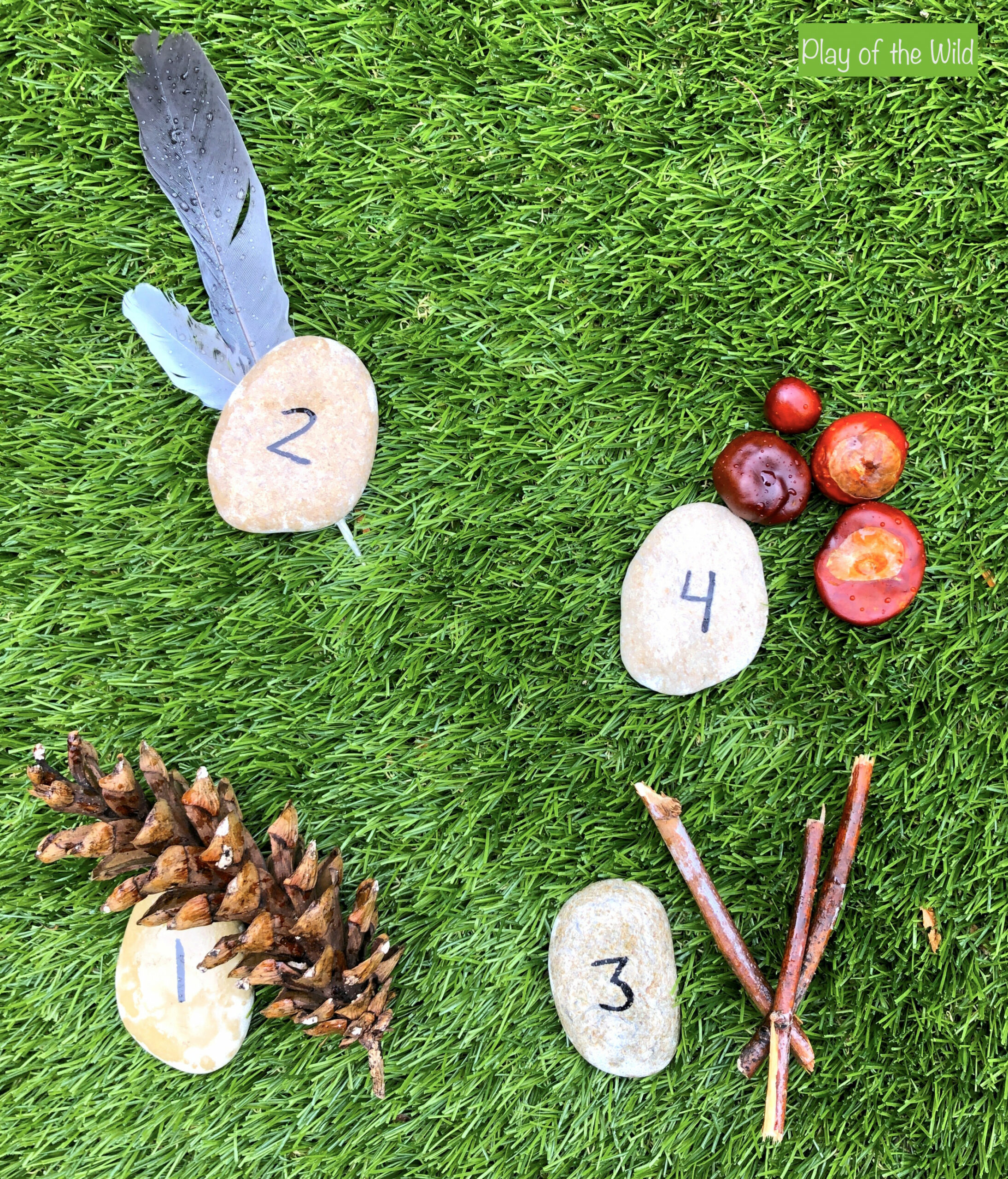 Outdoor Maths Activities EYFS – Outdoor Maths Ideas – Play of the Wild