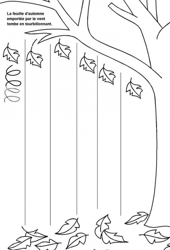 printable fall trace line worksheet ()  Activités automne