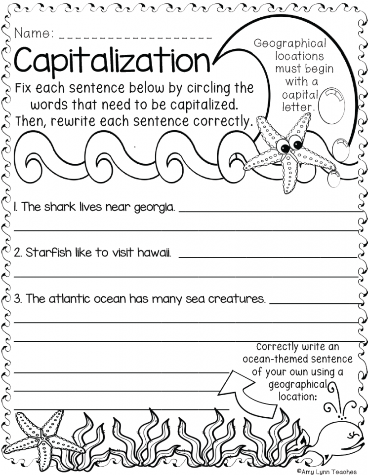 Second Grade Ocean Themed Worksheets  Standards Aligned Printables