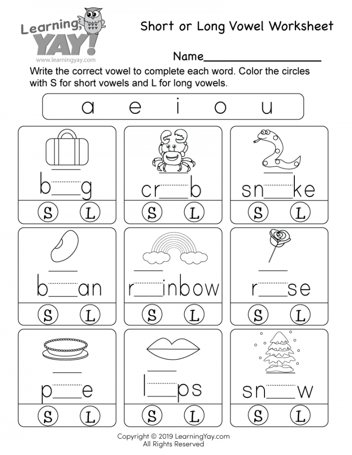 Short or Long Vowel Worksheet for st Grade (Free Printable)