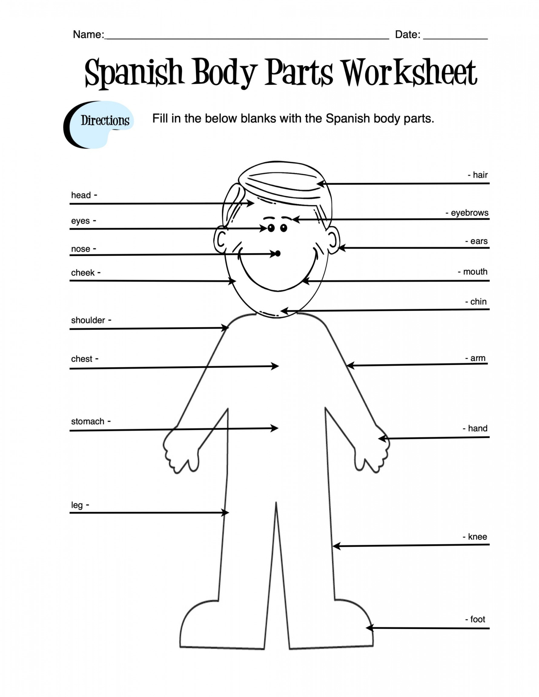 Spanish Body Parts Label Worksheet & Answer Key  Made By Teachers