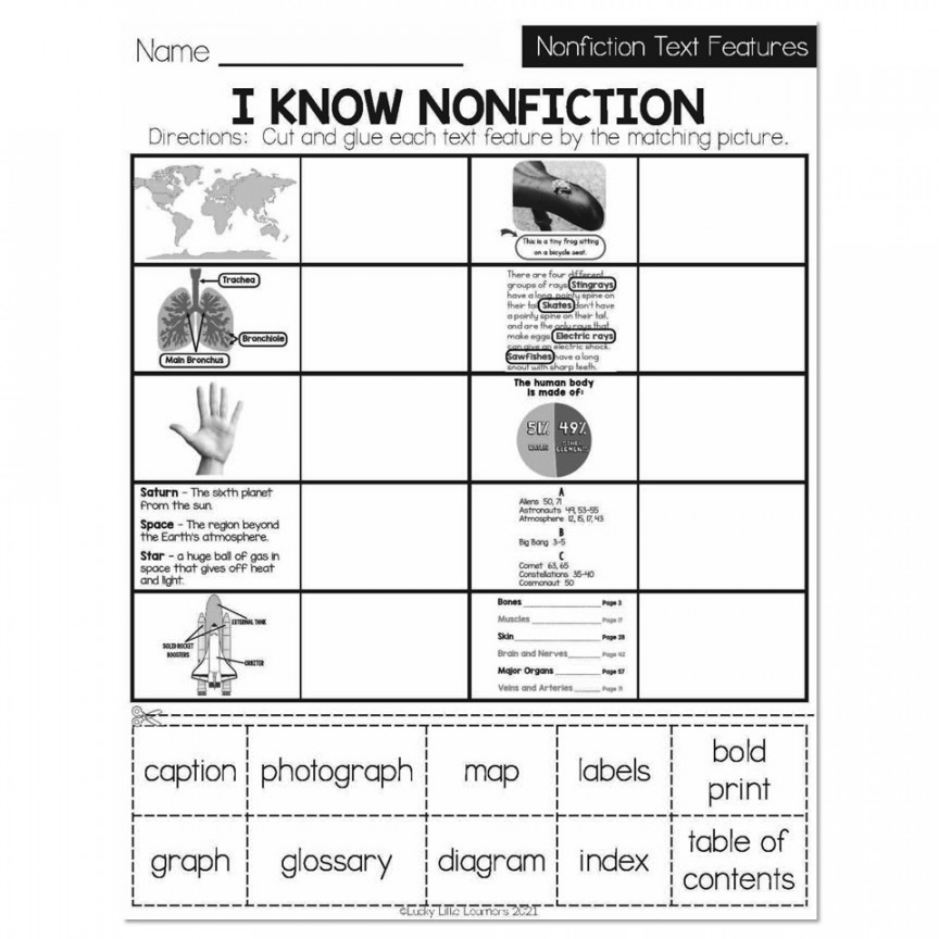 Winter - Early Finishers st Grade - ELA - Nonfiction Text Features - I  Know Nonfiction