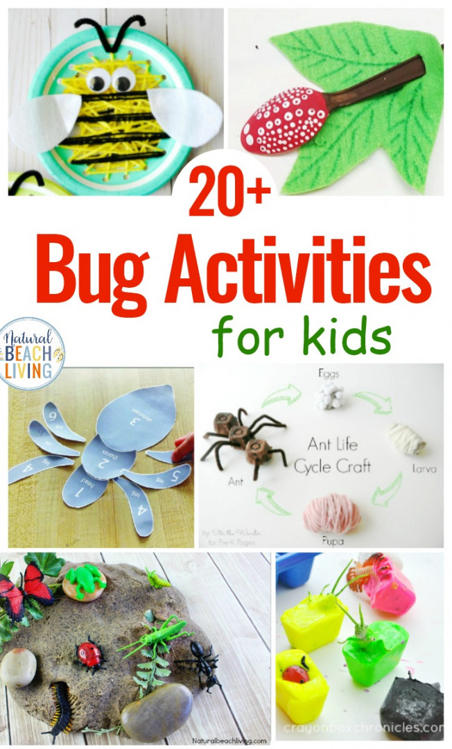 Bug Activities for Preschool - Natural Beach Living