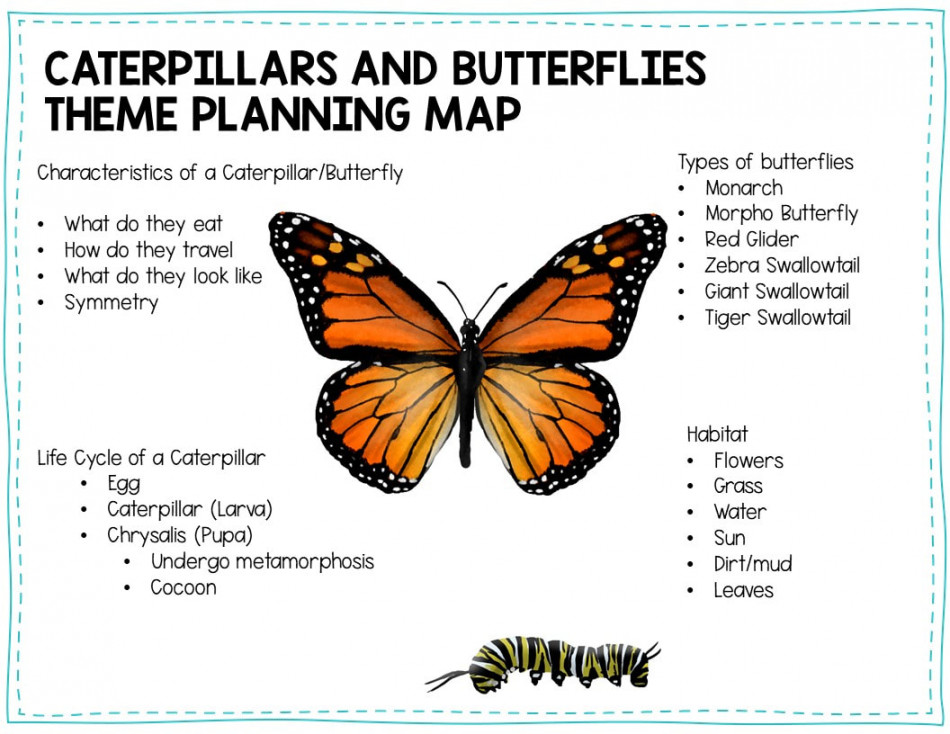 Preschool Caterpillar and Butterflies Lesson Planning Ideas - Pre