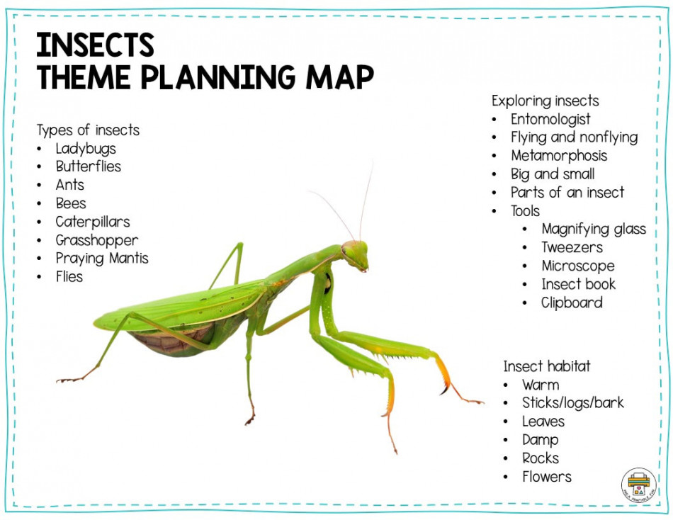 Preschool Insects Lesson Planning Ideas - Pre-K Printable Fun