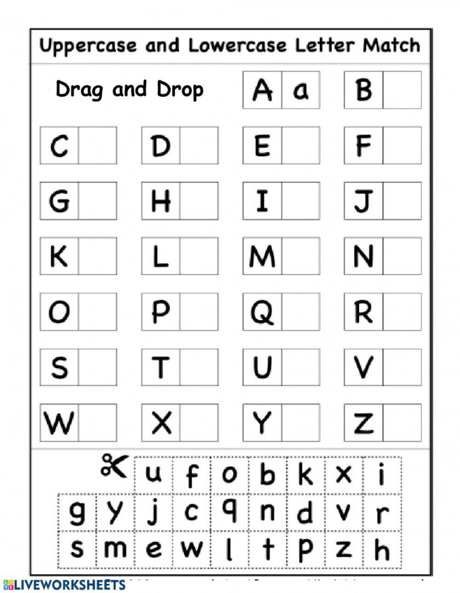 Capital and Common letters online worksheet for Reception