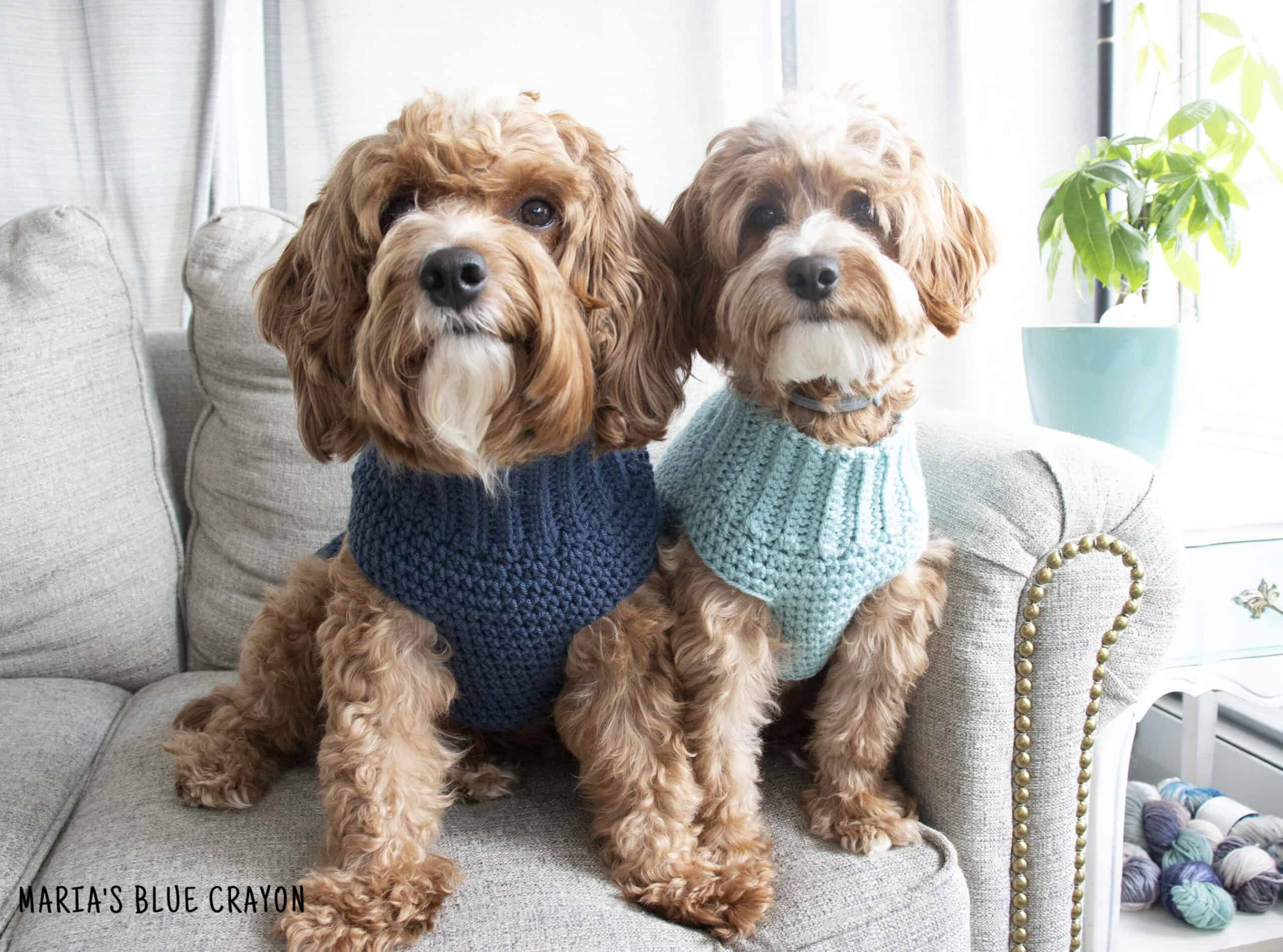 Crochet Dog Sweater Free Pattern - Maria