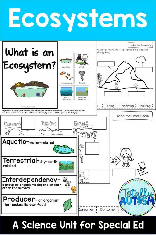 Ecosystems Unit (Special Education)  Ecosystems unit, Science