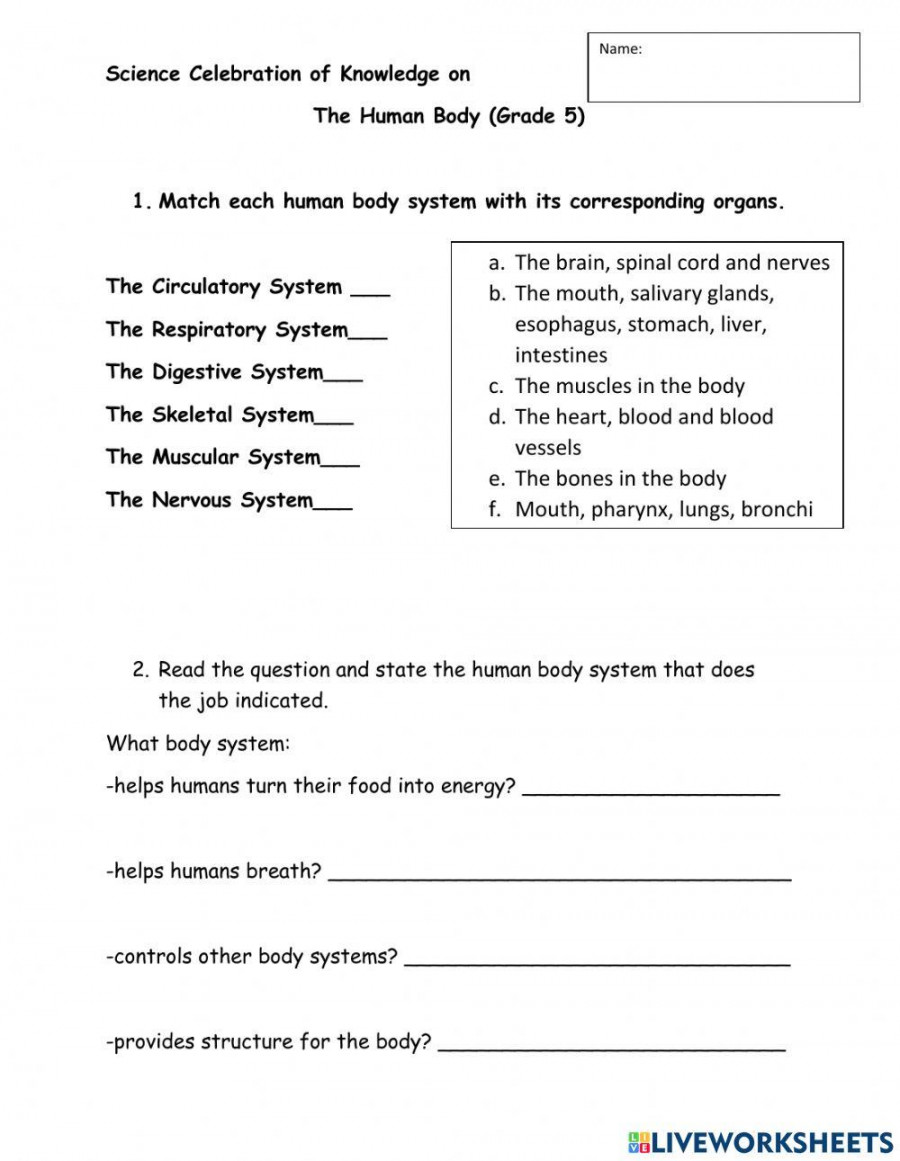 Grade  Human Body Celebration of Knowledge worksheet  Live