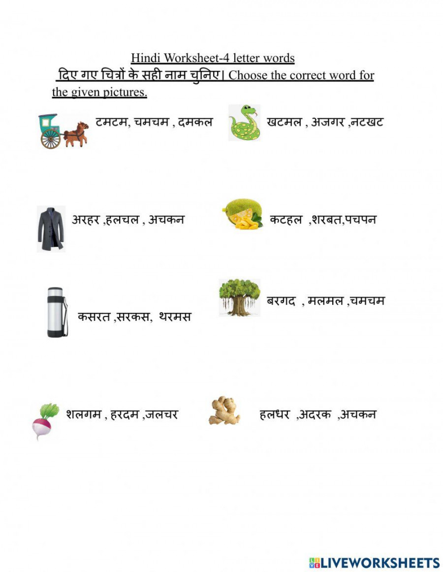 Hindi  letter words worksheet worksheet  Live Worksheets