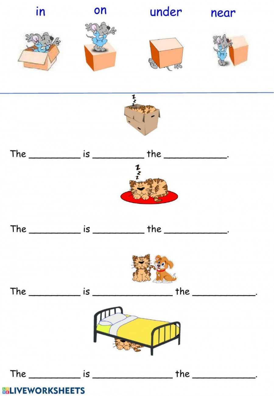 in on under near super easy prepositions worksheet  Live Worksheets