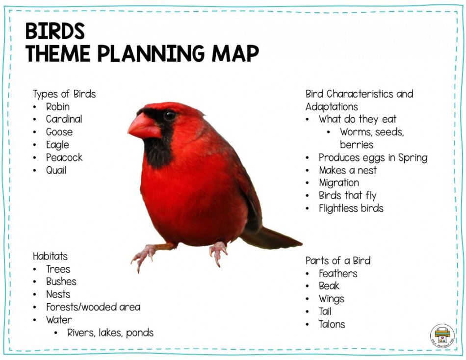 Preschool Birds Lesson Planning Ideas - Pre-K Printable Fun