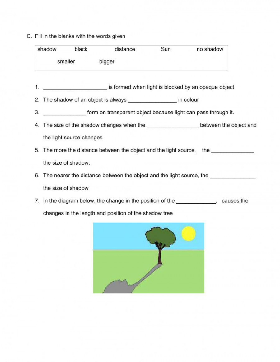 Science Year  - Light worksheet  Live Worksheets