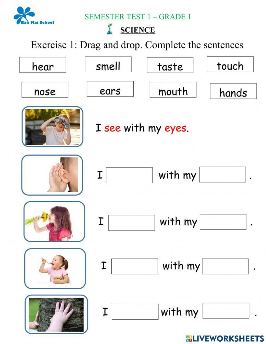 Semester test  - science - grade  worksheet  Live Worksheets