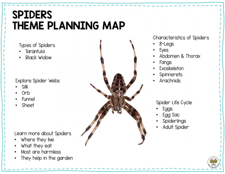 Spider Exploration: Engaging Topics and Vocabulary to Teach