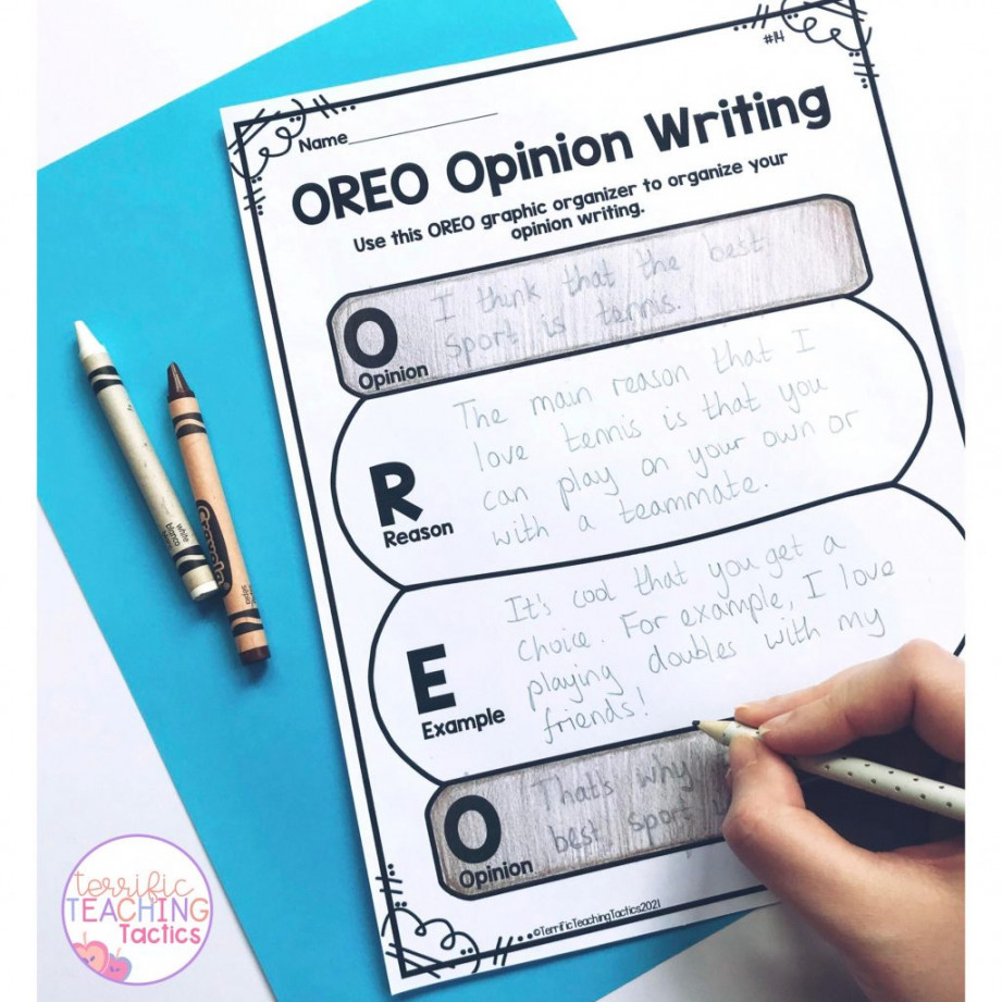 Third Grade Writing - Opinion Writing - Terrific Teaching Tactics