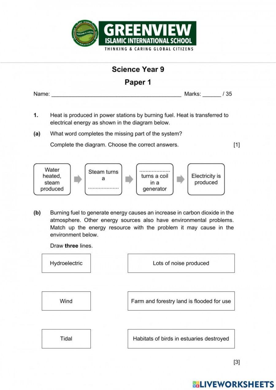 Year End Science Year  Paper  worksheet  Live Worksheets