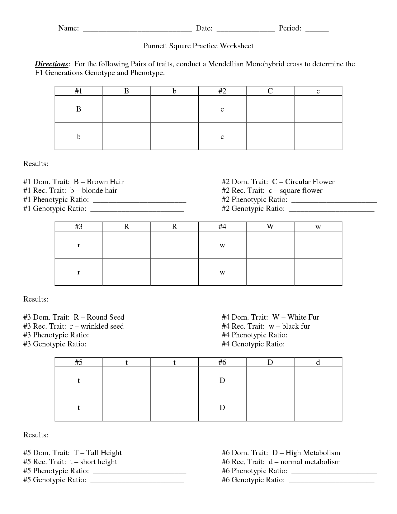 50+ Best Punnett Square Worksheet Answers 12