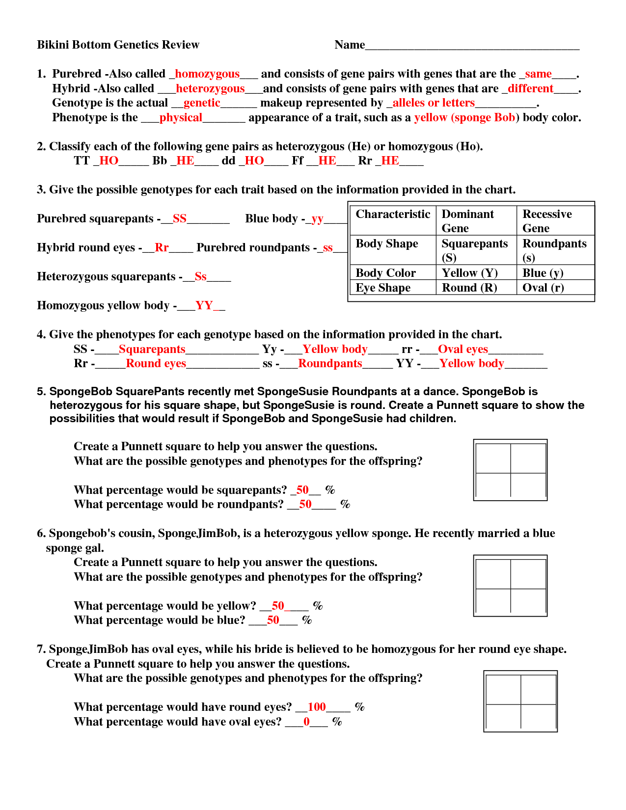 50+ Best Punnett Square Worksheet Answers 14