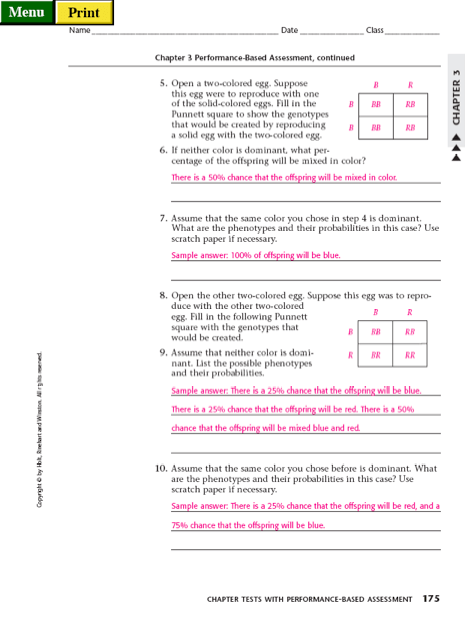 50+ Best Punnett Square Worksheet Answers 16