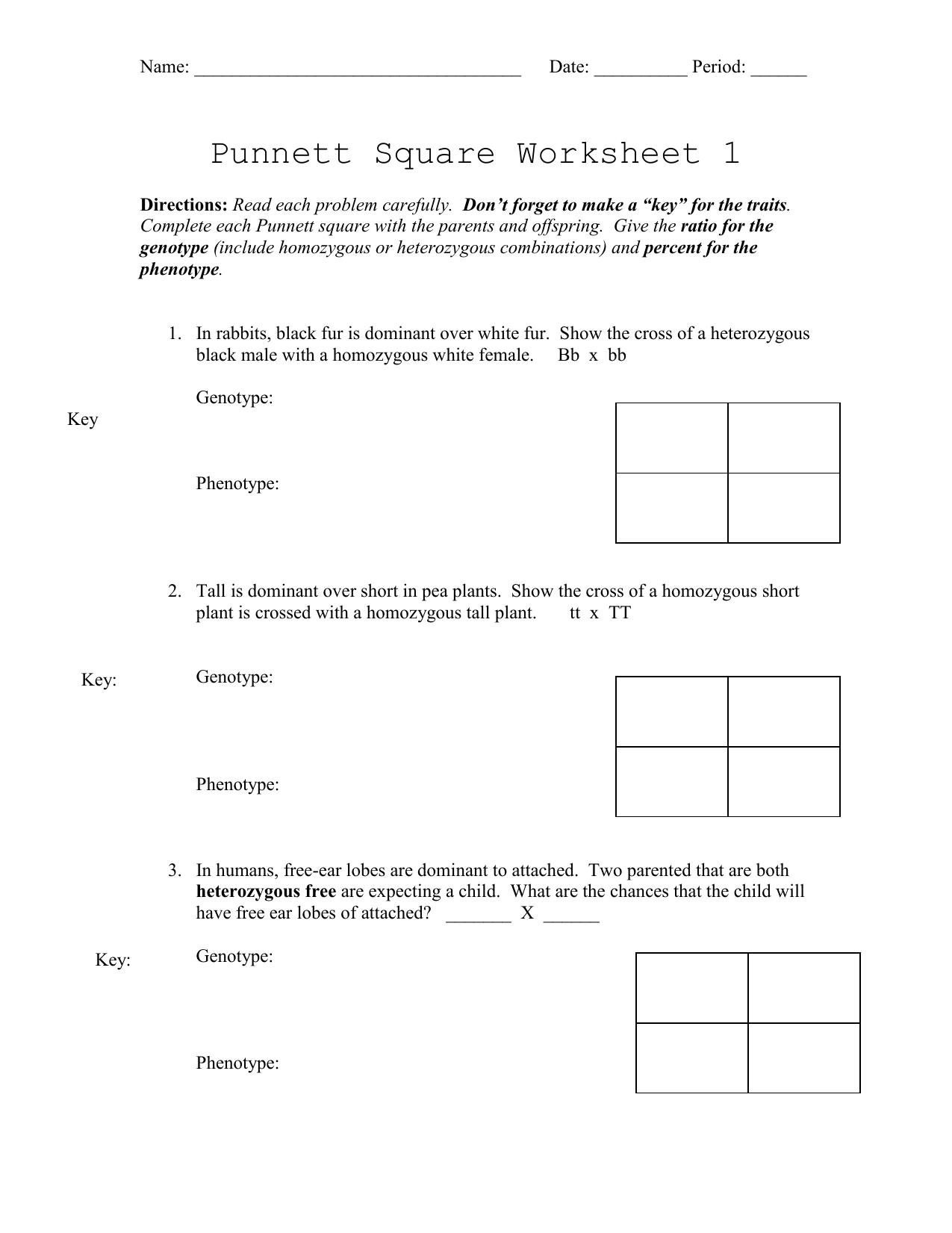 50+ Best Punnett Square Worksheet Answers 2