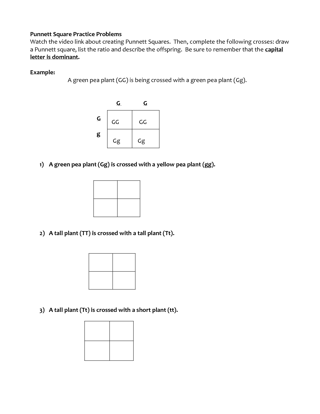 50+ Best Punnett Square Worksheet Answers 32