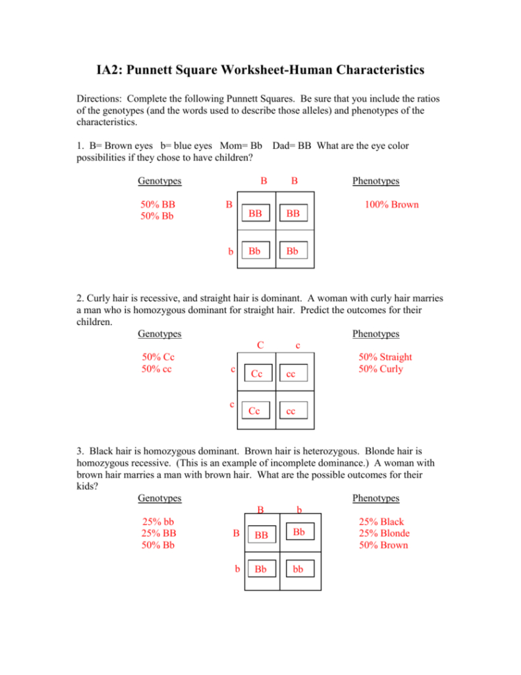 50+ Best Punnett Square Worksheet Answers 34