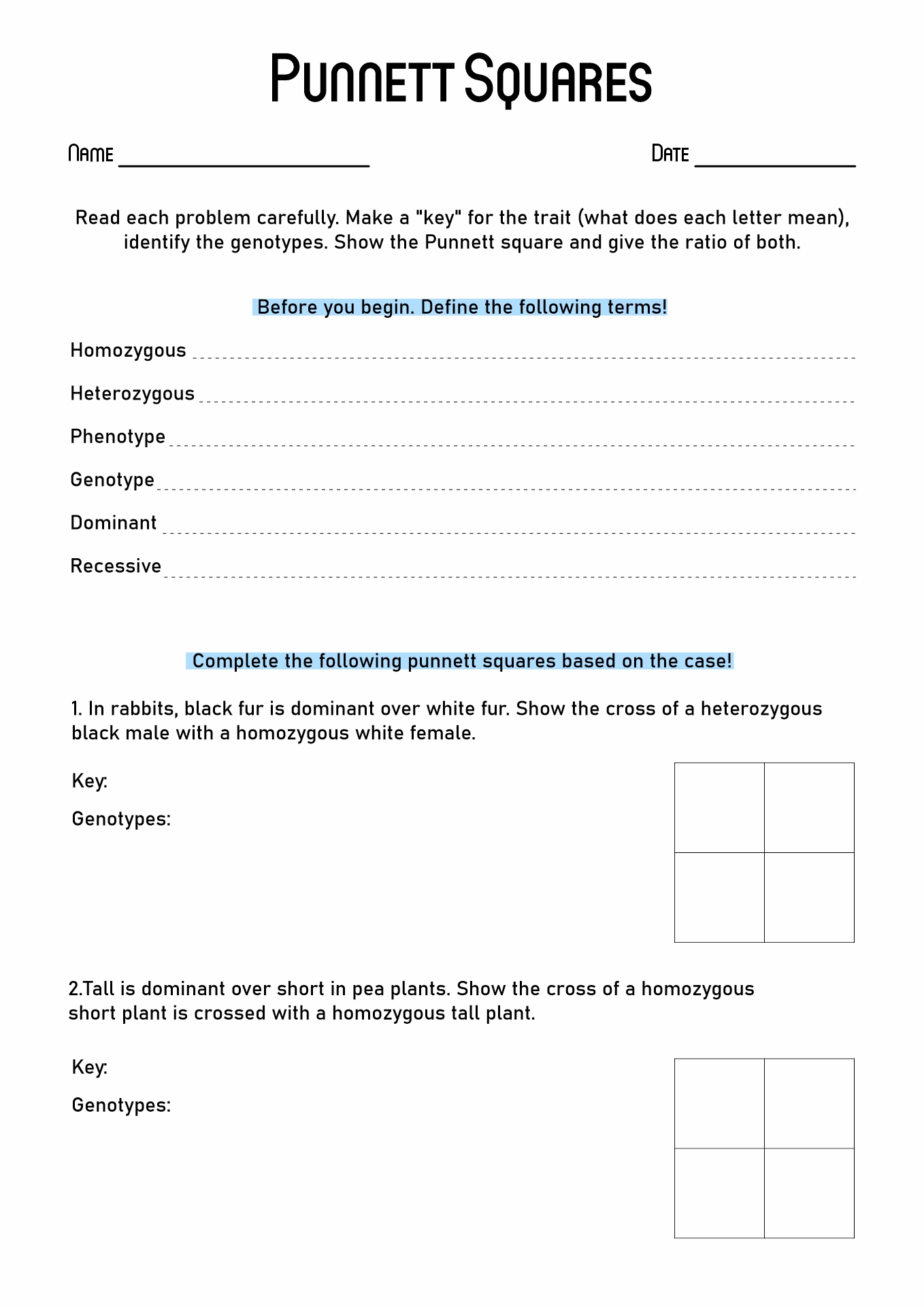 50+ Best Punnett Square Worksheet Answers 39