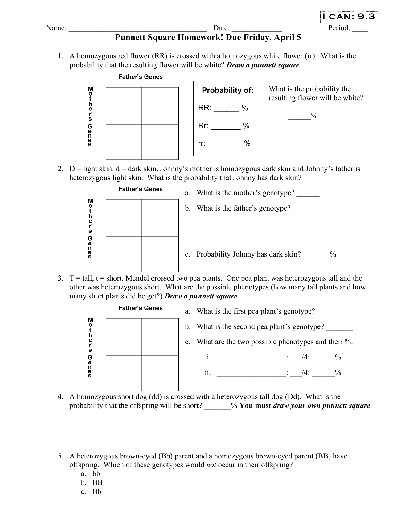 50+ Best Punnett Square Worksheet Answers 4