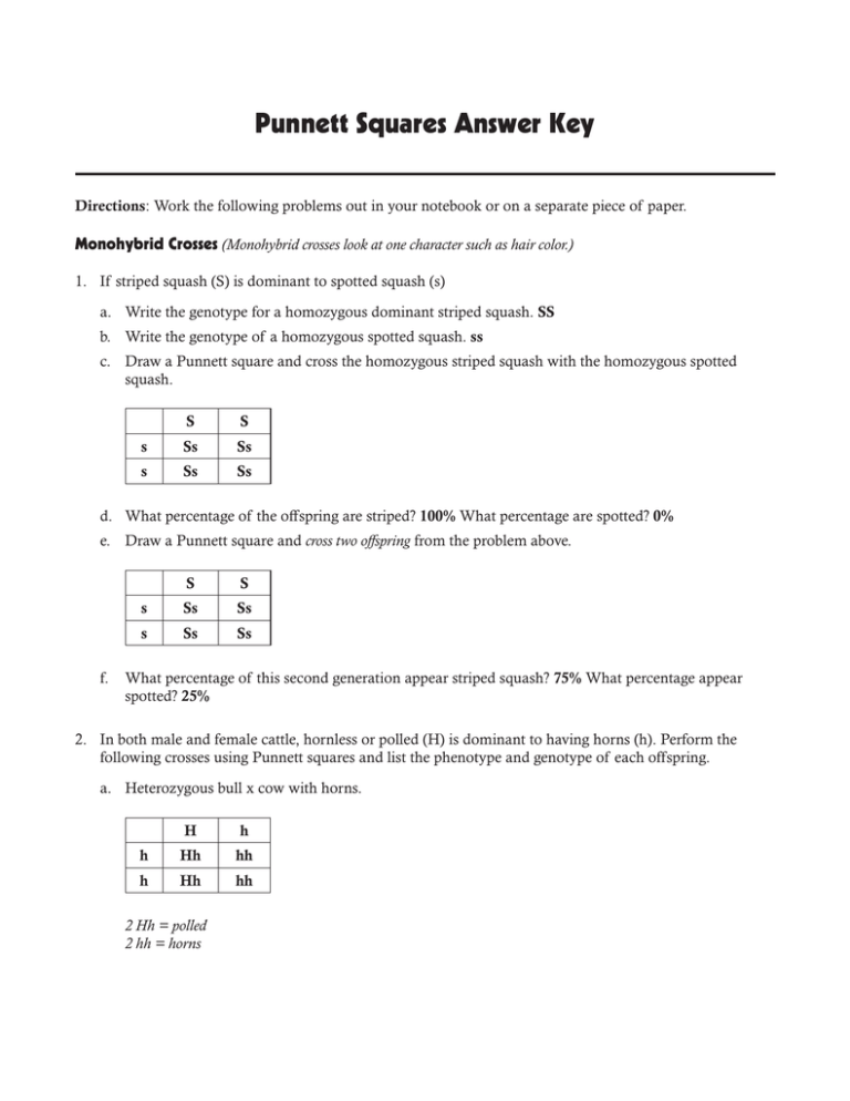 50+ Best Punnett Square Worksheet Answers 46