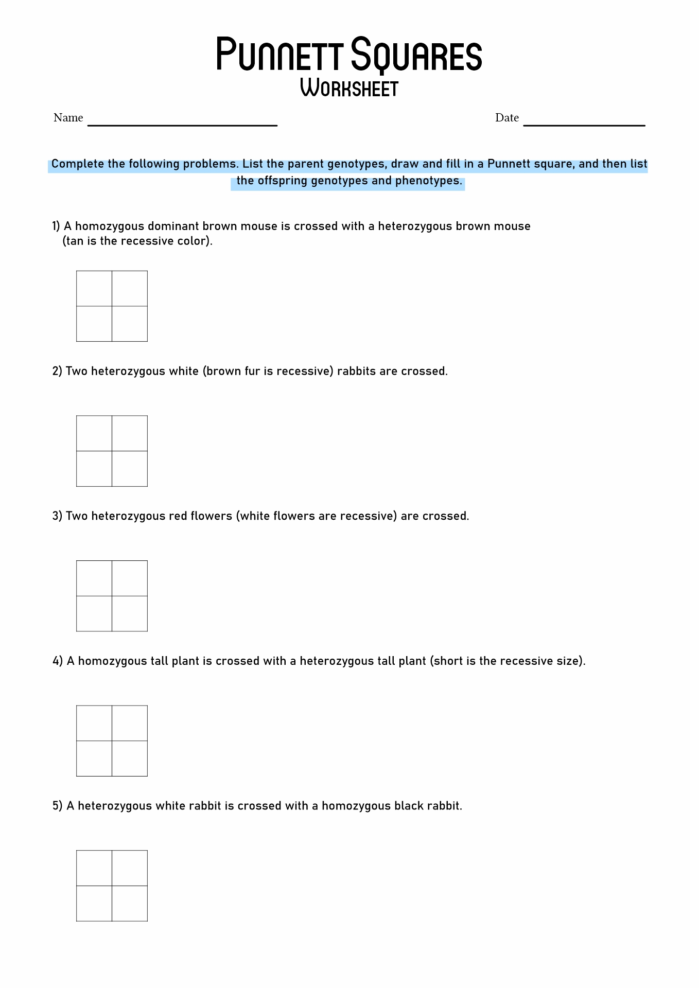 50+ Best Punnett Square Worksheet Answers 5