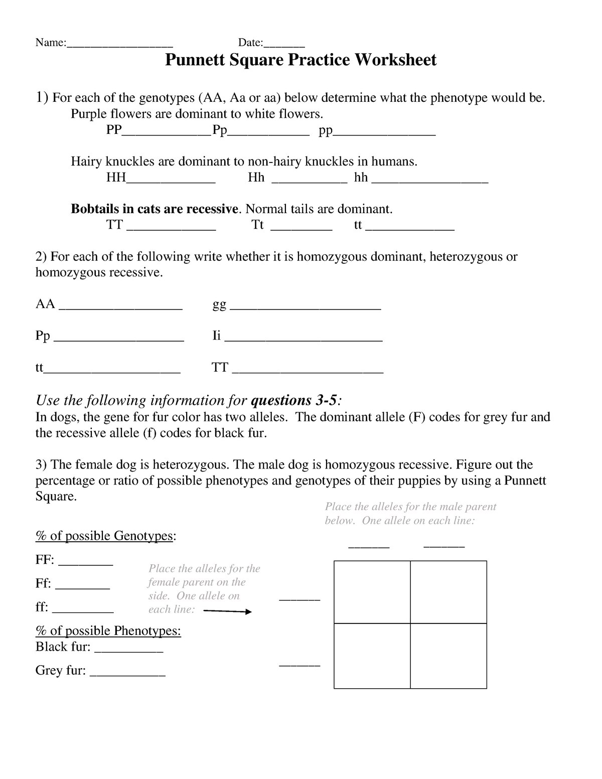 50+ Best Punnett Square Worksheet Answers 51