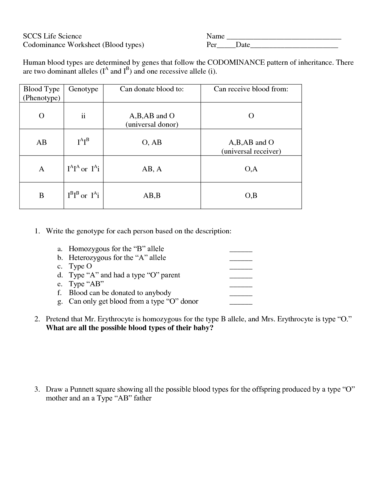 50+ Best Punnett Square Worksheet Answers 52