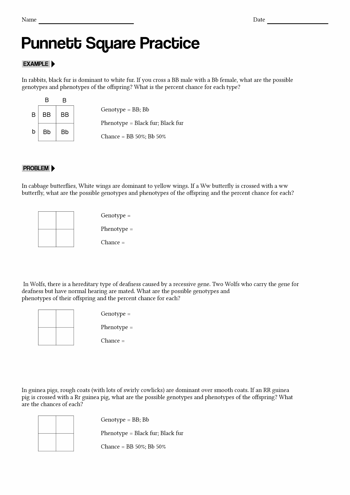 50+ Best Punnett Square Worksheet Answers 54