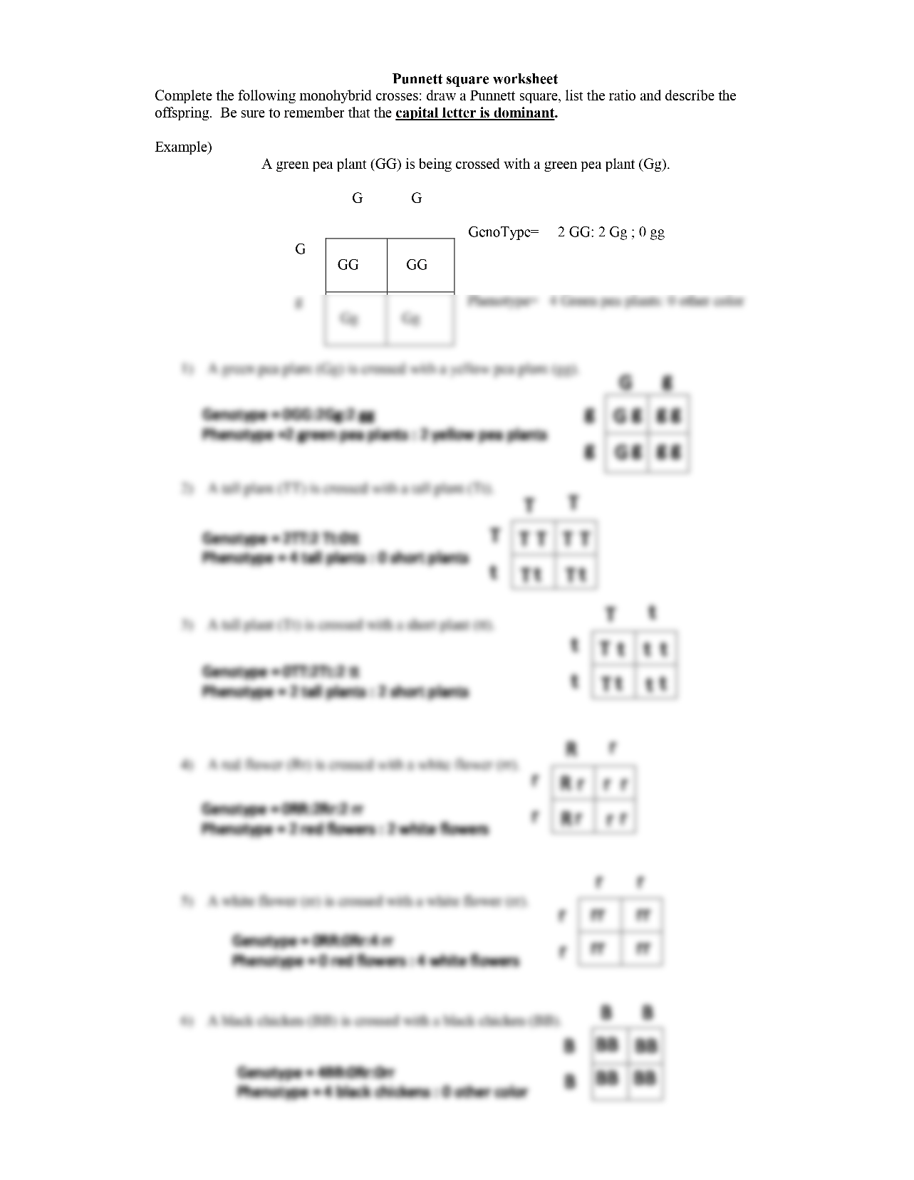 50+ Best Punnett Square Worksheet Answers 56