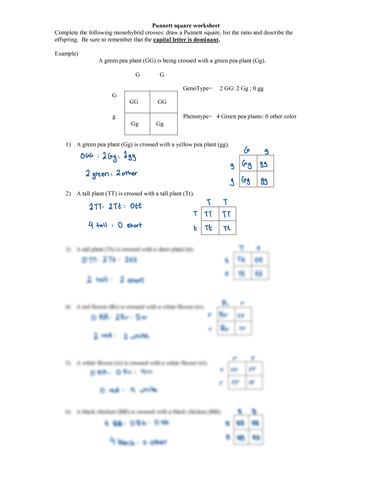 50+ Best Punnett Square Worksheet Answers 59