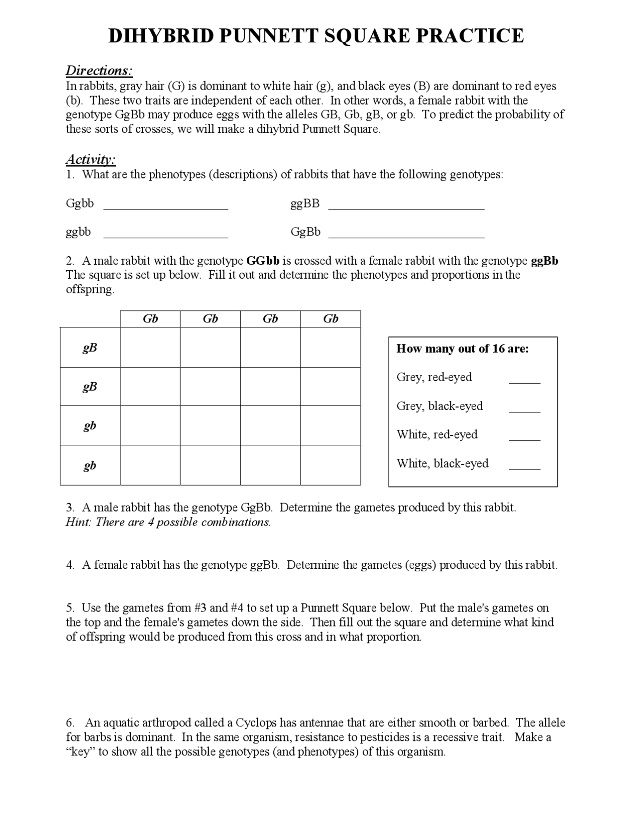 50+ Best Punnett Square Worksheet Answers 60