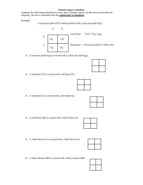 50+ Best Punnett Square Worksheet Answers 66