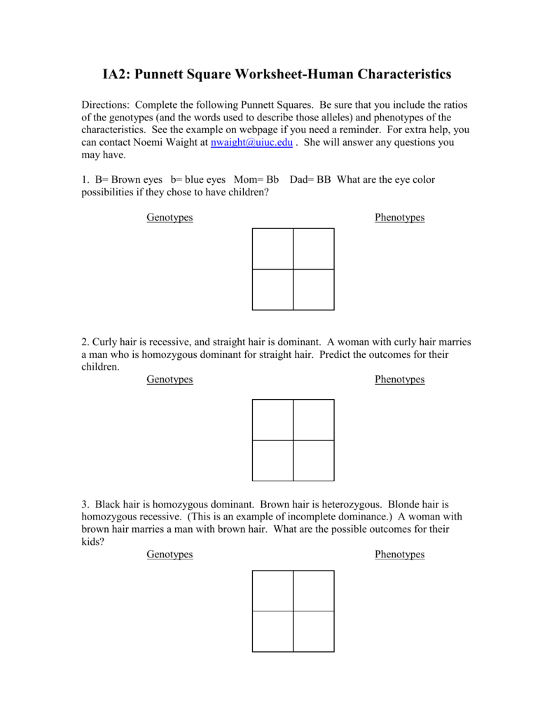 50+ Best Punnett Square Worksheet Answers 69