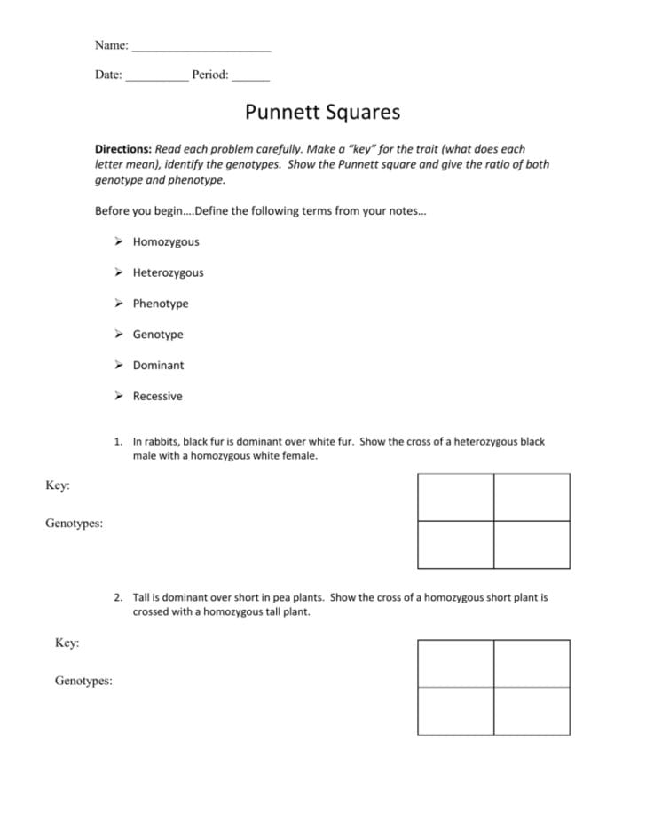 50+ Best Punnett Square Worksheet Answers 7