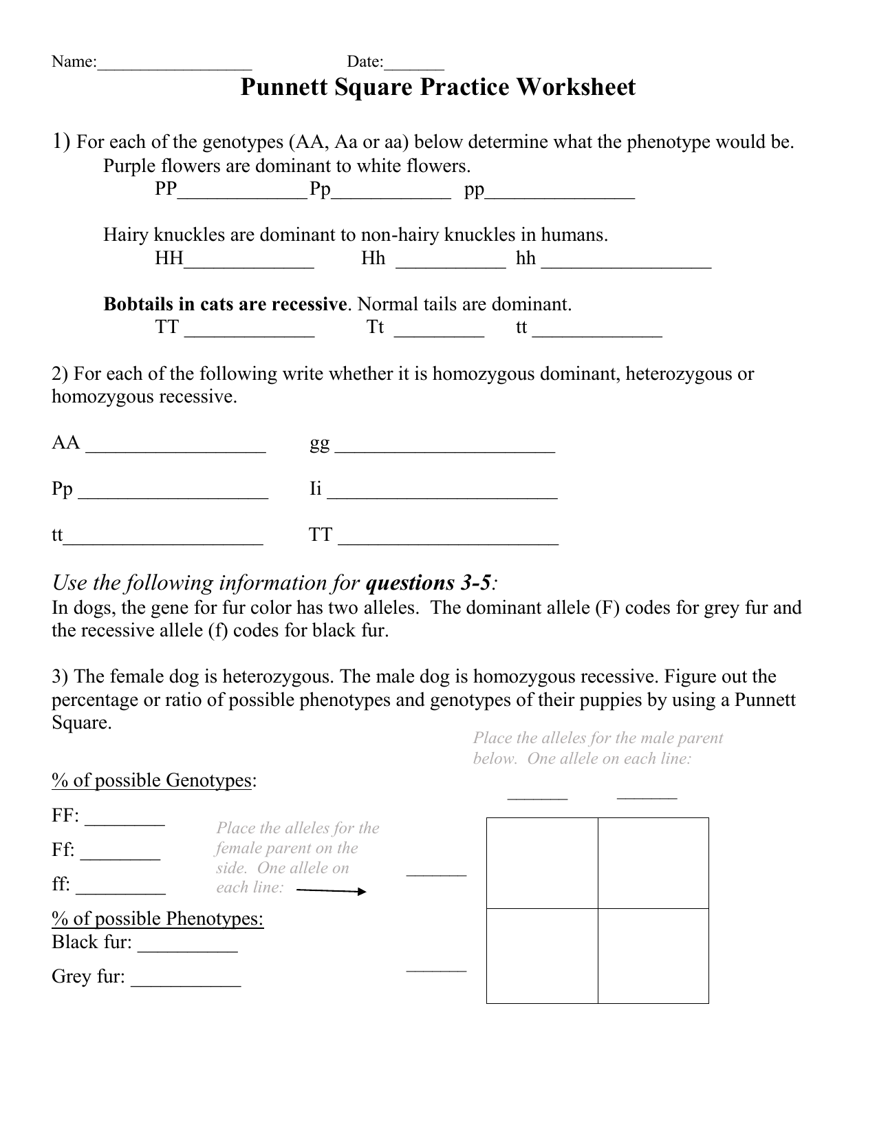 50+ Best Punnett Square Worksheet Answers 70